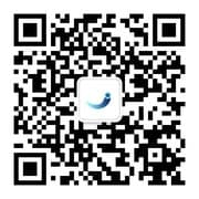 一意LingDan公众号